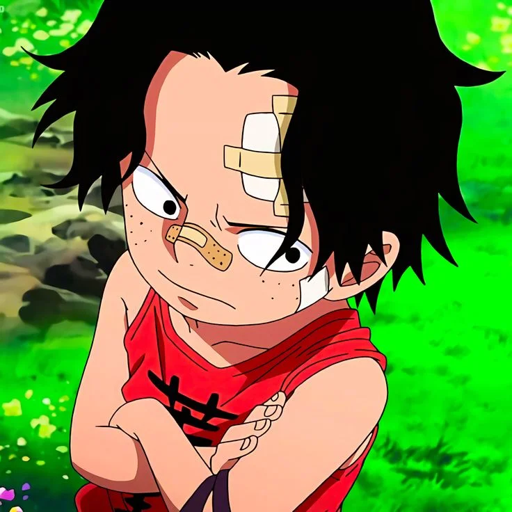 Ace One Piece PFP