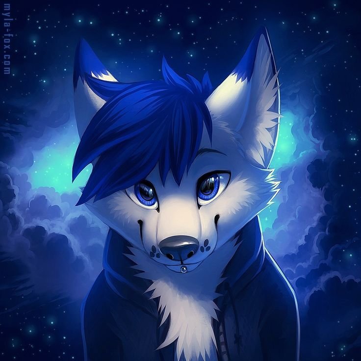 Blue Furry PFP