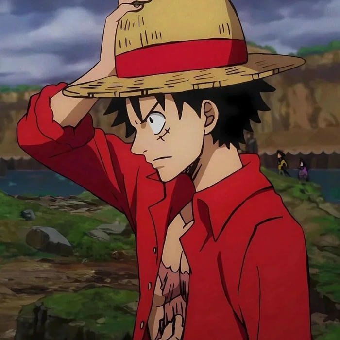 Cool One Piece PFP
