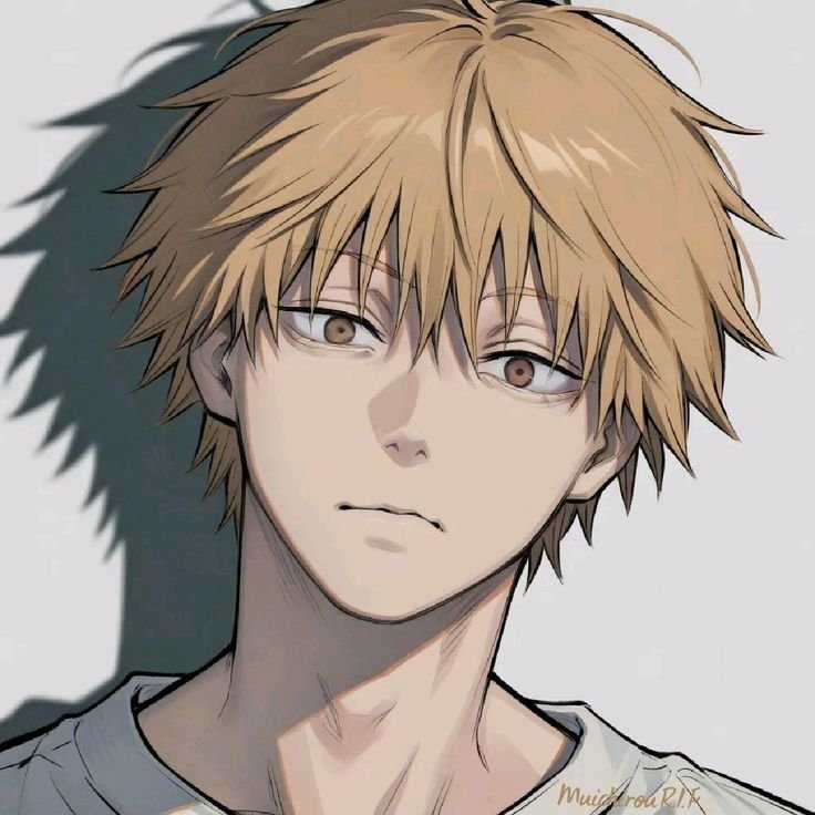 Denji PFP 4K