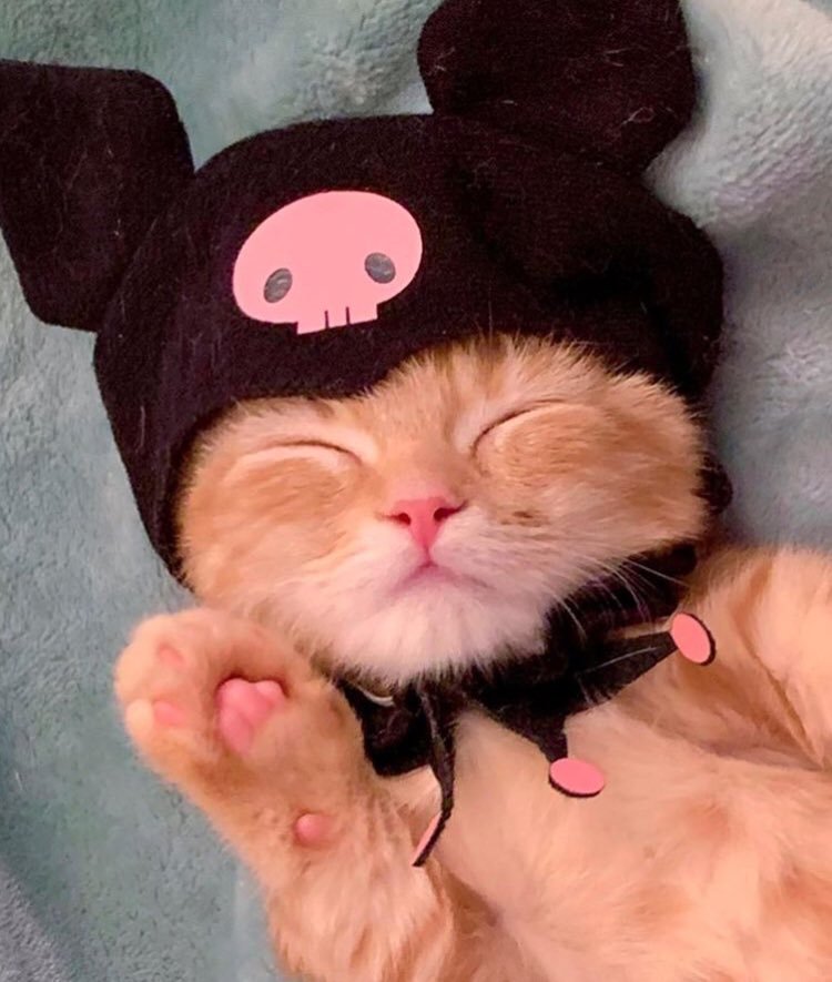 Cute Kuromi Cat PFP