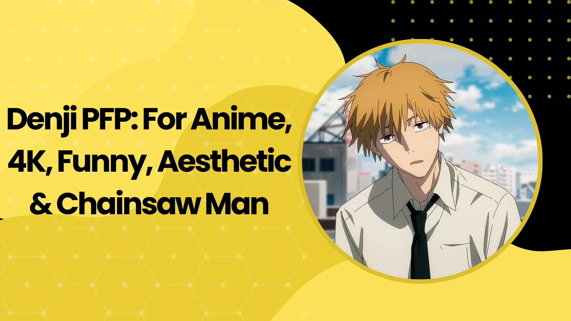 Denji PFP