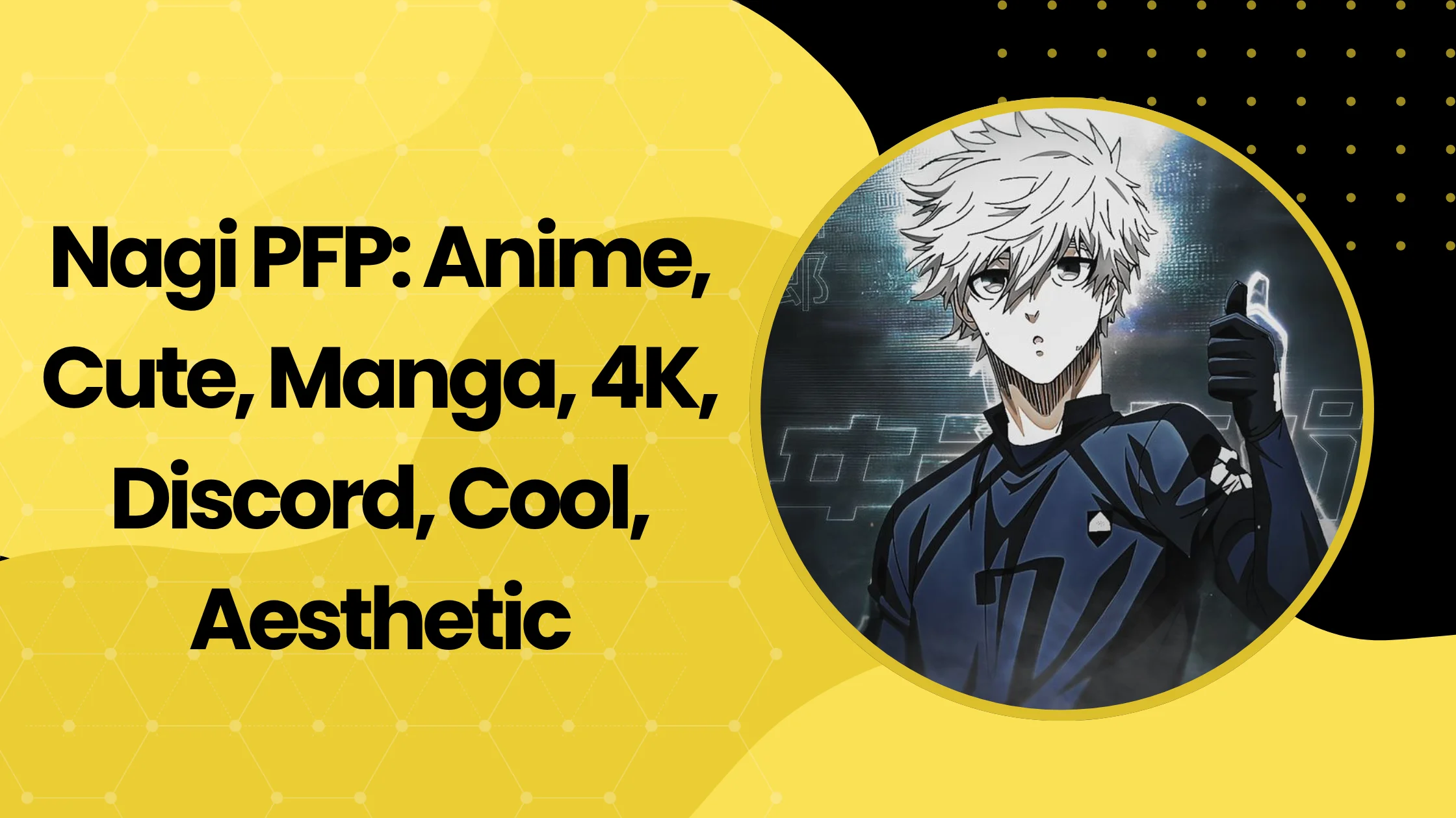 Nagi PFP