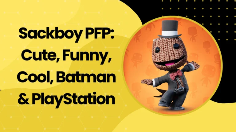 Sackboy PFP
