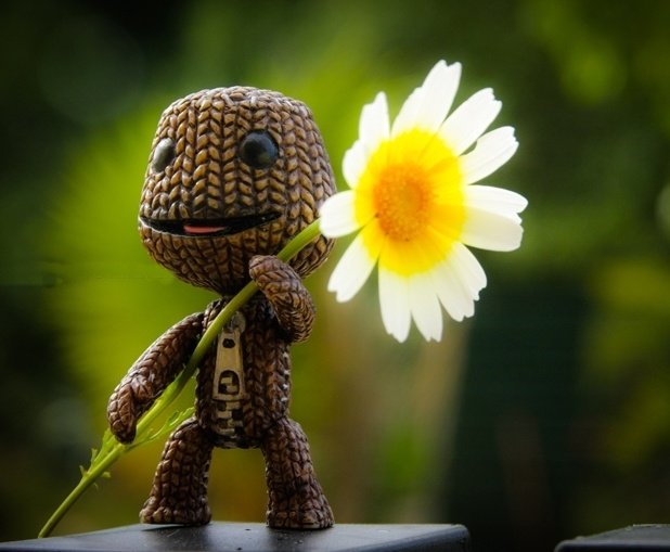 Sackboy PFP Instagram
