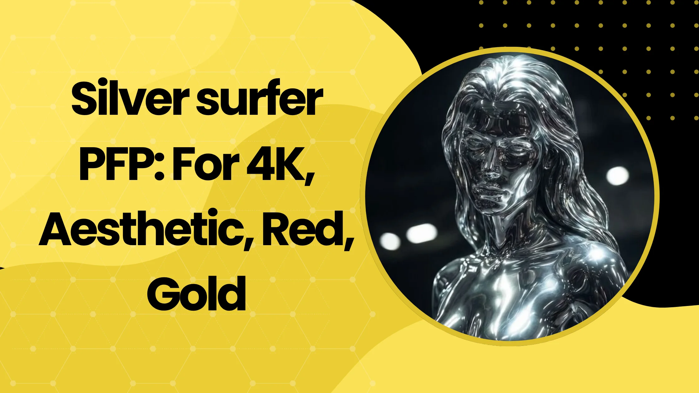 Silver surfer PFP