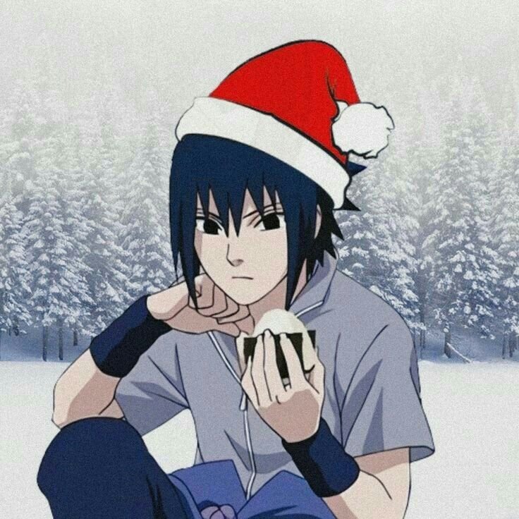 Santa Hat Christmas PFP