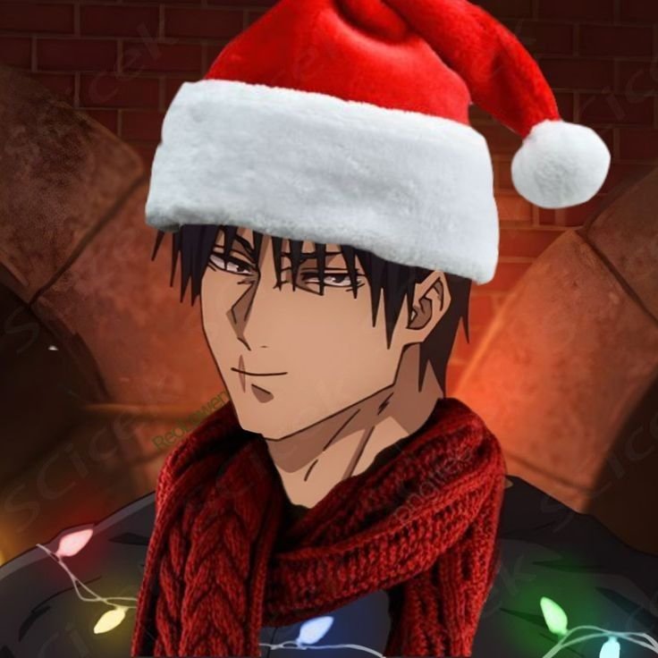 Santa Hat Christmas PFP
