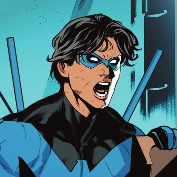 Nightwing PFP Boy