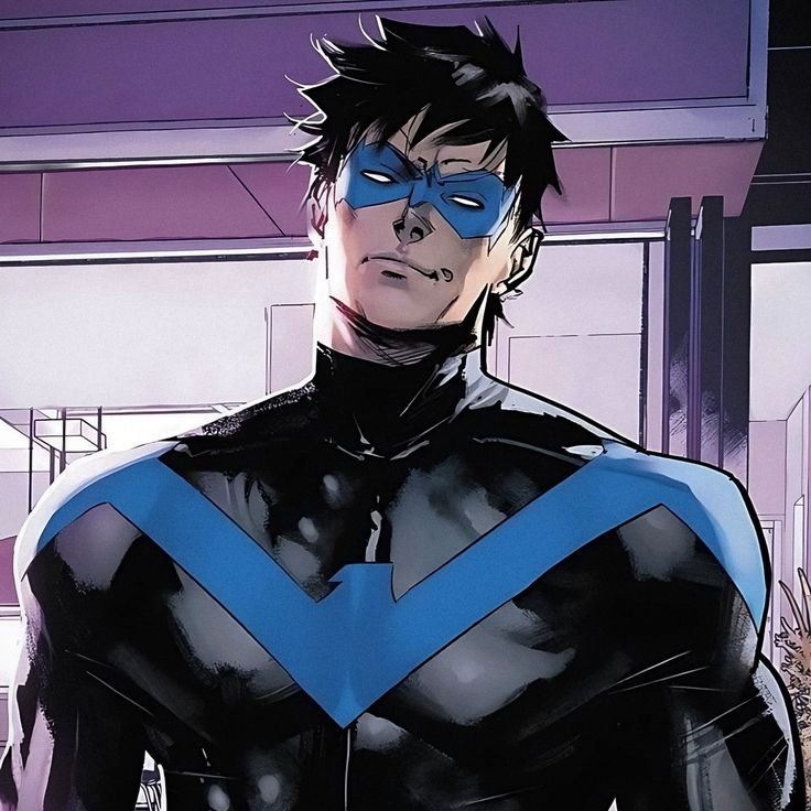 Nightwing PFP Anime