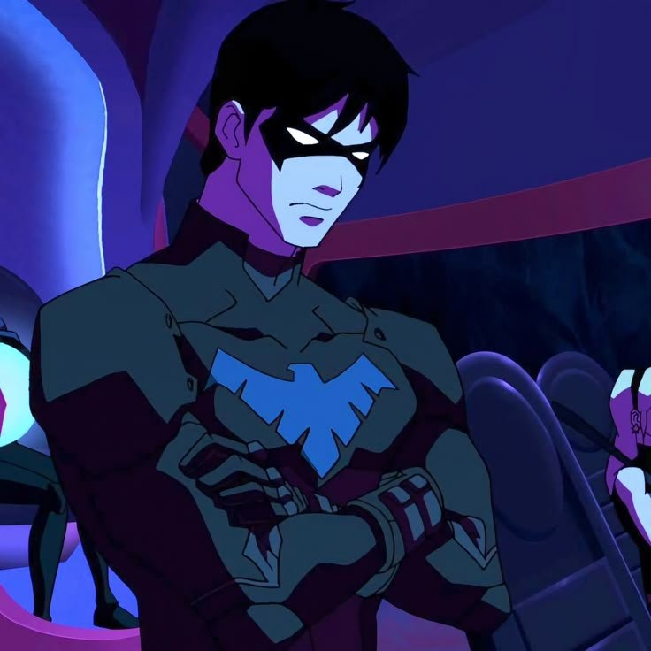 Nightwing PFP Young Justice