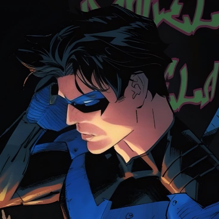Nightwing PFP Aesthetic