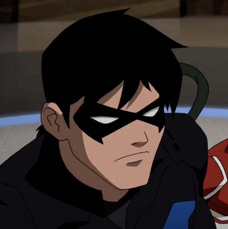 Nightwing PFP HD