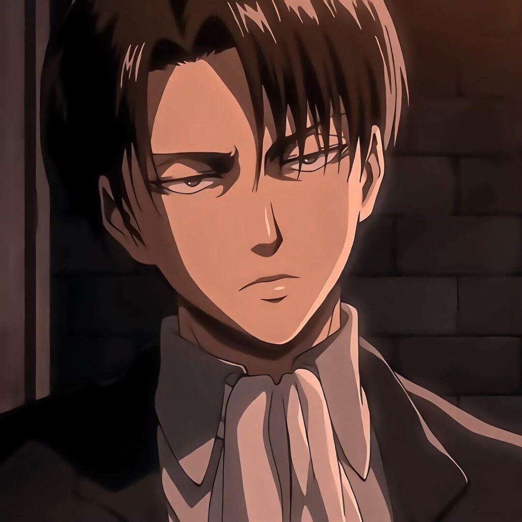 AOT PFP Aesthetic