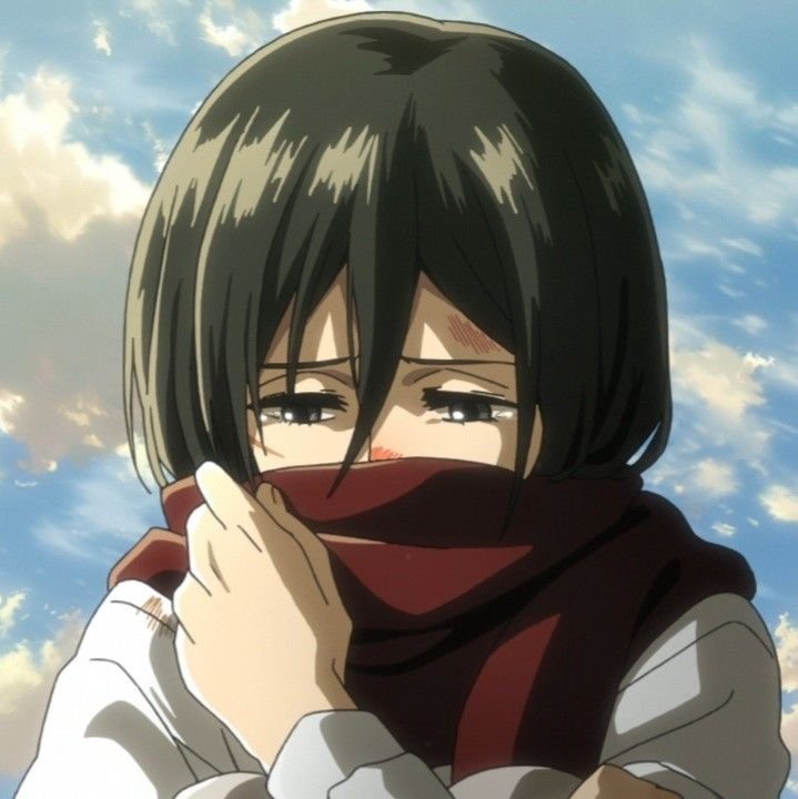 Sad AOT PFP
