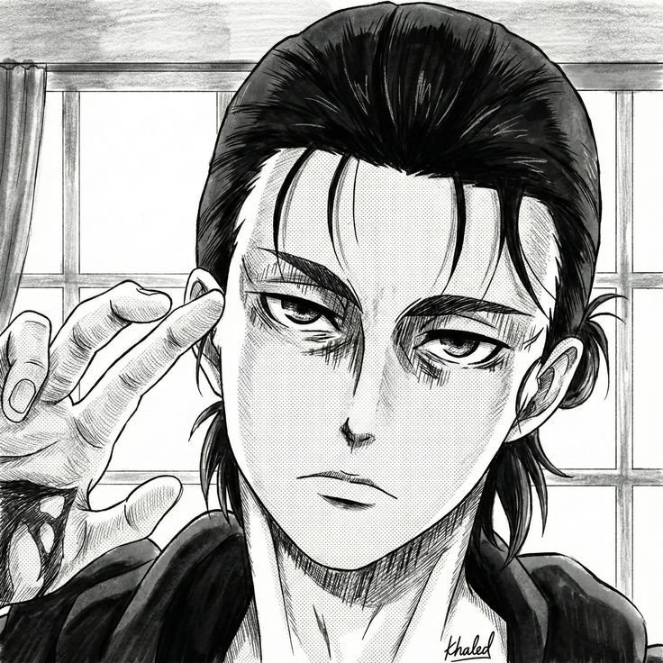 AOT PFP Manga
