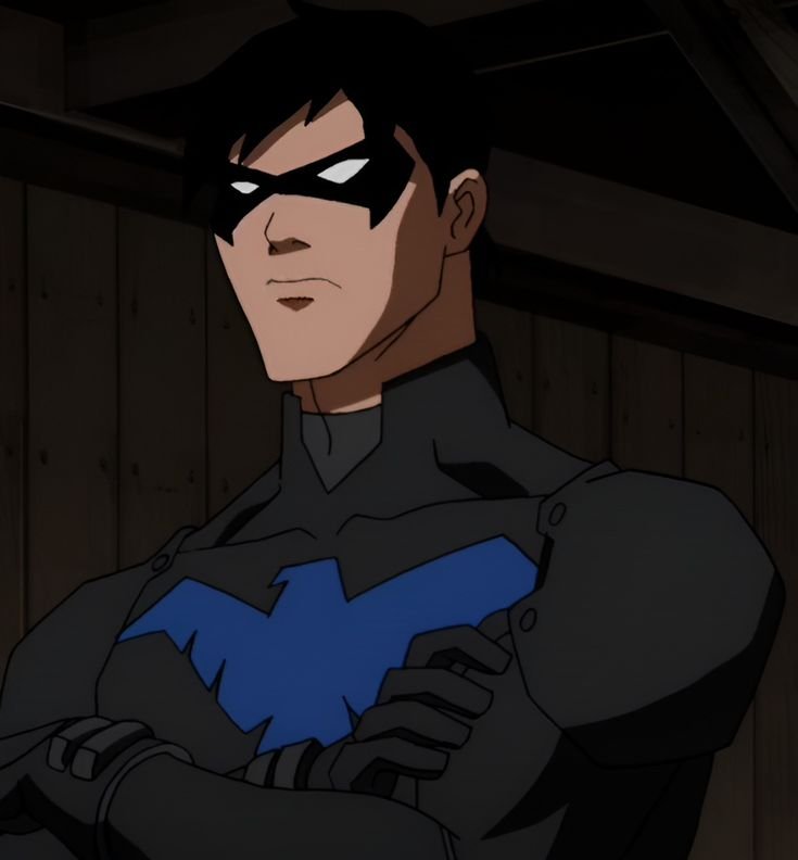 Nightwing PFP Icon