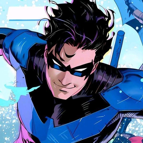 Nightwing PFP Cool