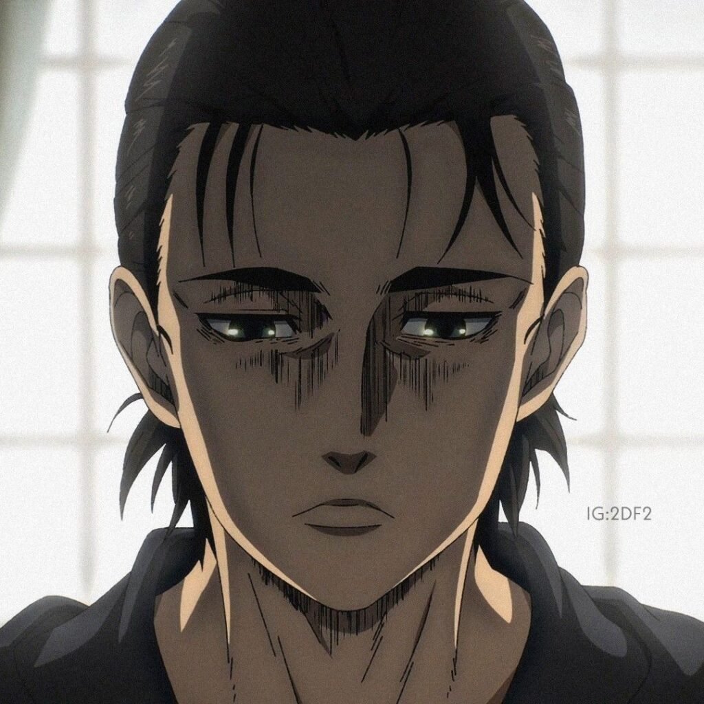 Sad AOT PFP