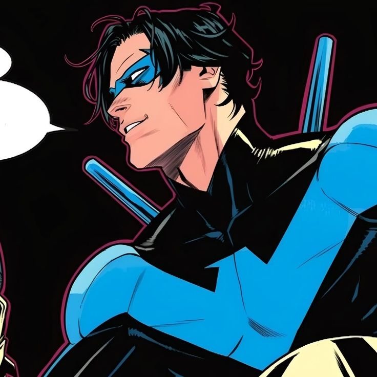 Nightwing PFP Cool