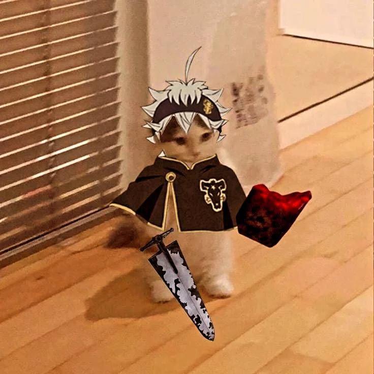 Asta PFP Funny
