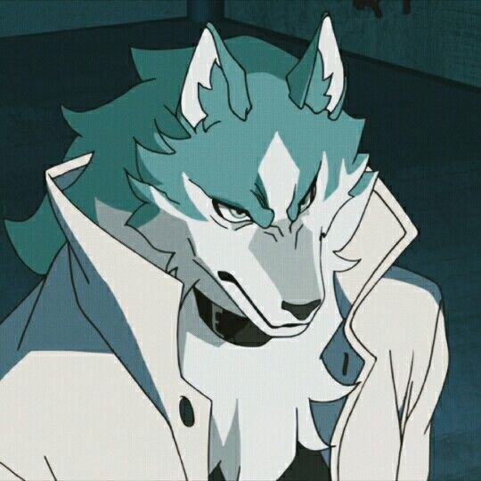BNA Shirou PFP