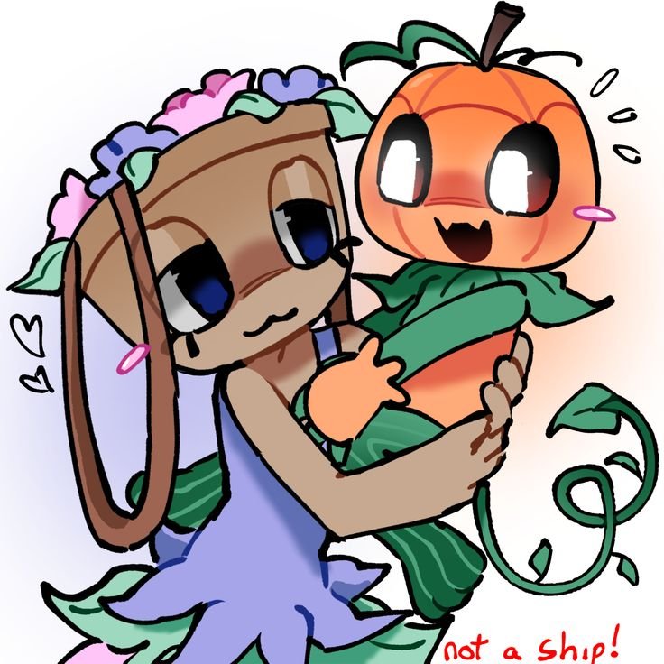Bassie PFP Matching