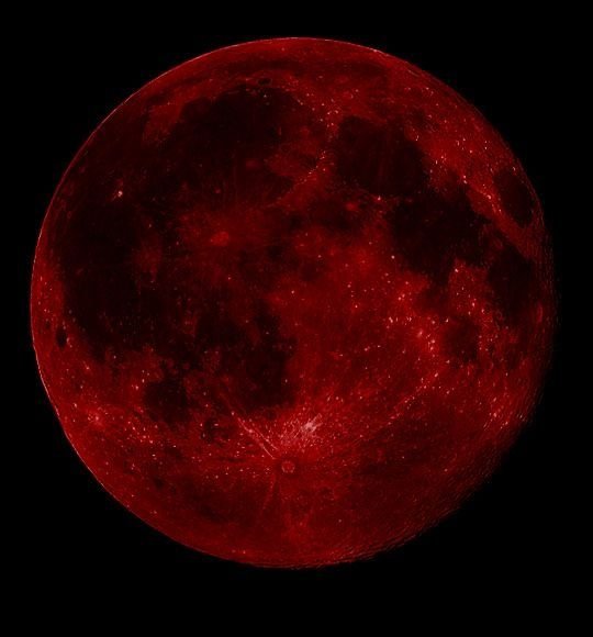 Blood Moon PFP