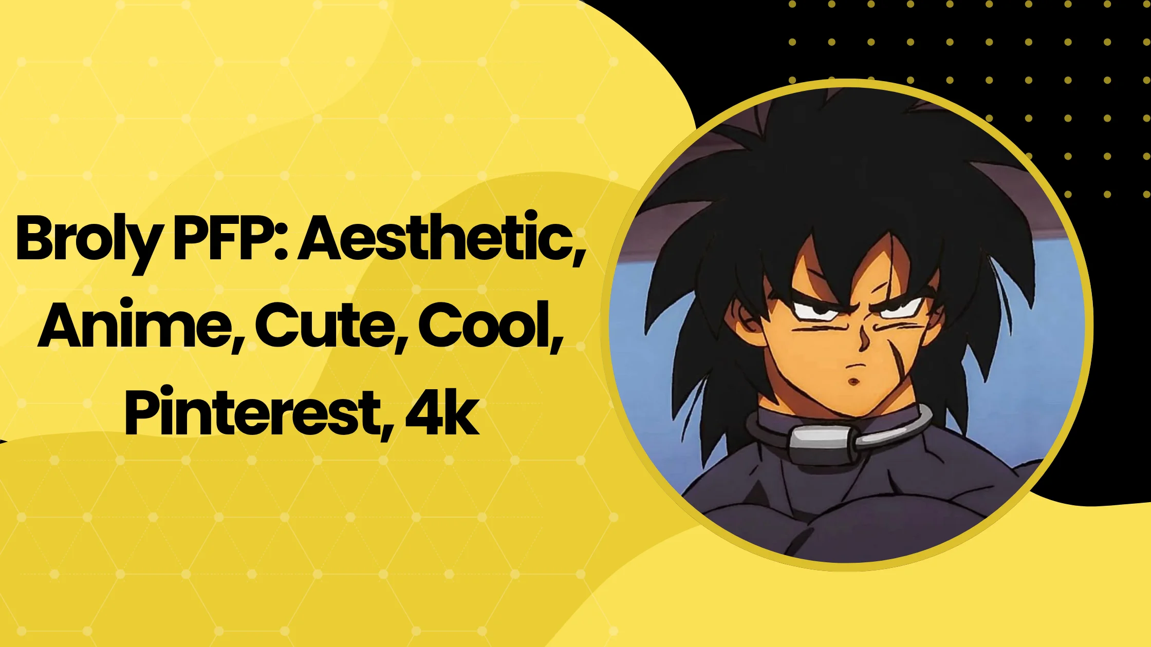 Broly PFP