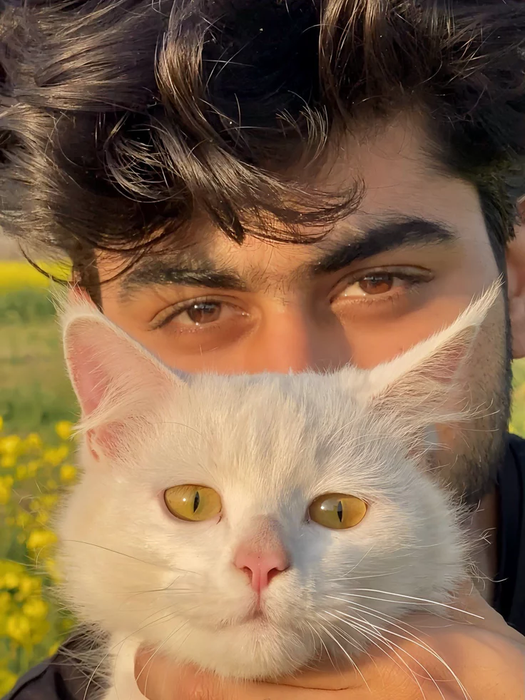 Cute Cat PFP Boy