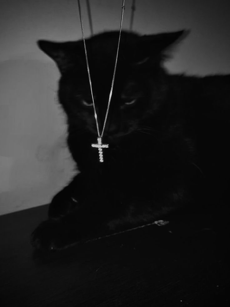 Cute Cross PFP