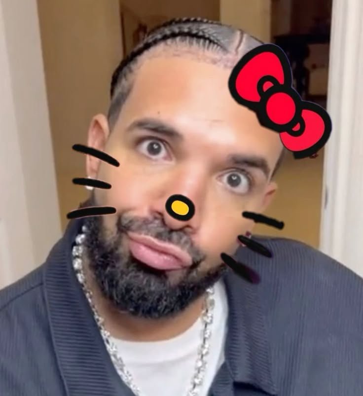 Drake PFP Funny