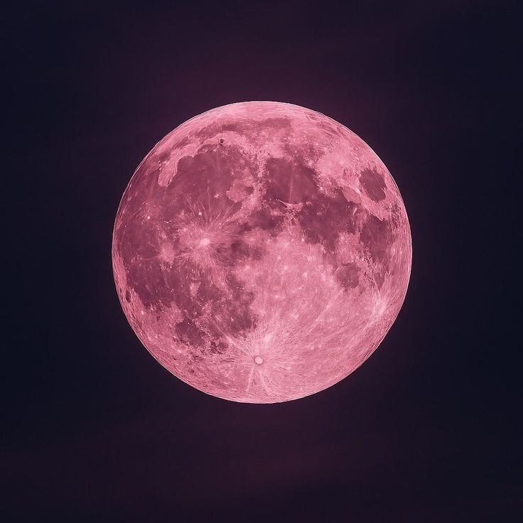 Enhypen Pink Moon PFP