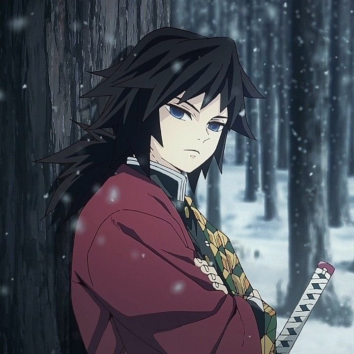Giyu Tomioka PFP Anime