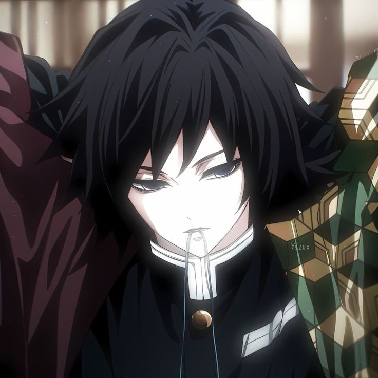 Giyu Tomioka PFP Anime Profile