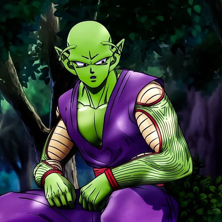 King Piccolo PFP
