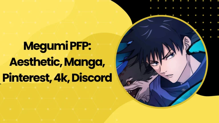 Megumi PFP
