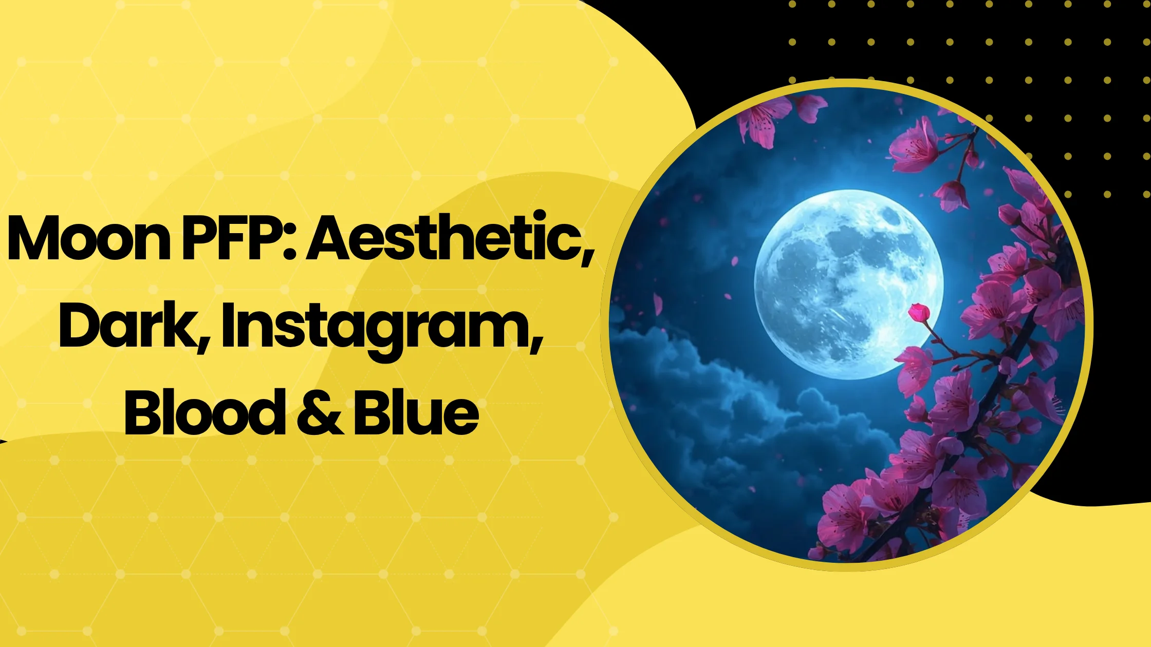 Moon PFP