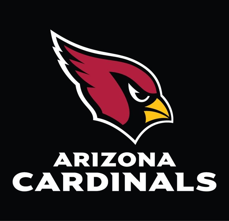 NFL Team Logo PFP