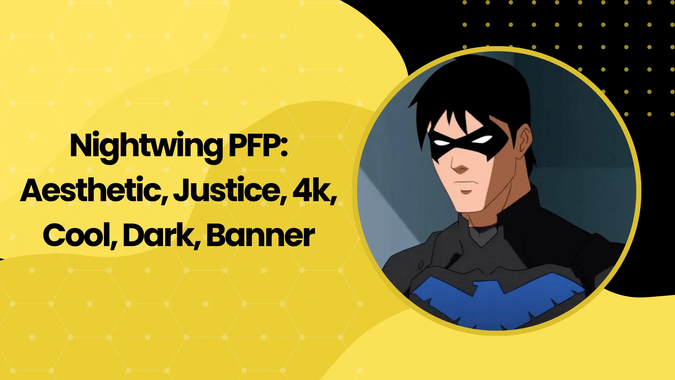 Nightwing PFP