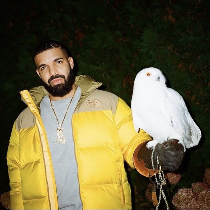 OVO Drake PFP