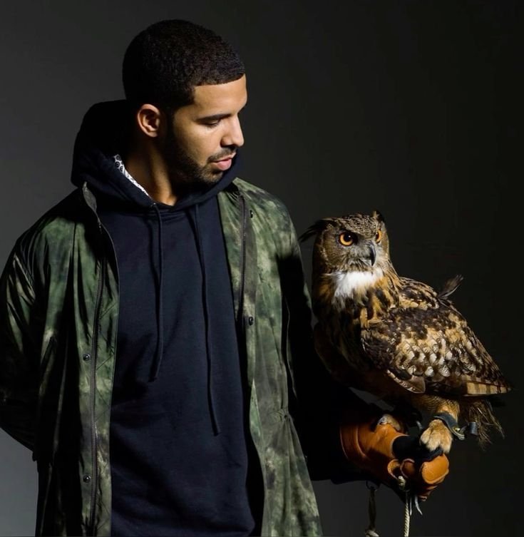 OVO Drake PFP