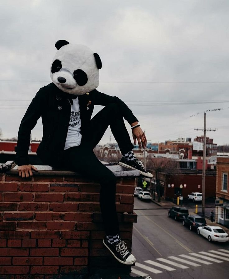 Panda Profile Pic Boy