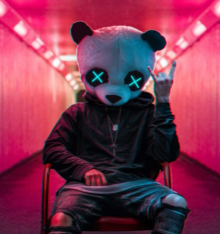 Panda Profile Pic Boy