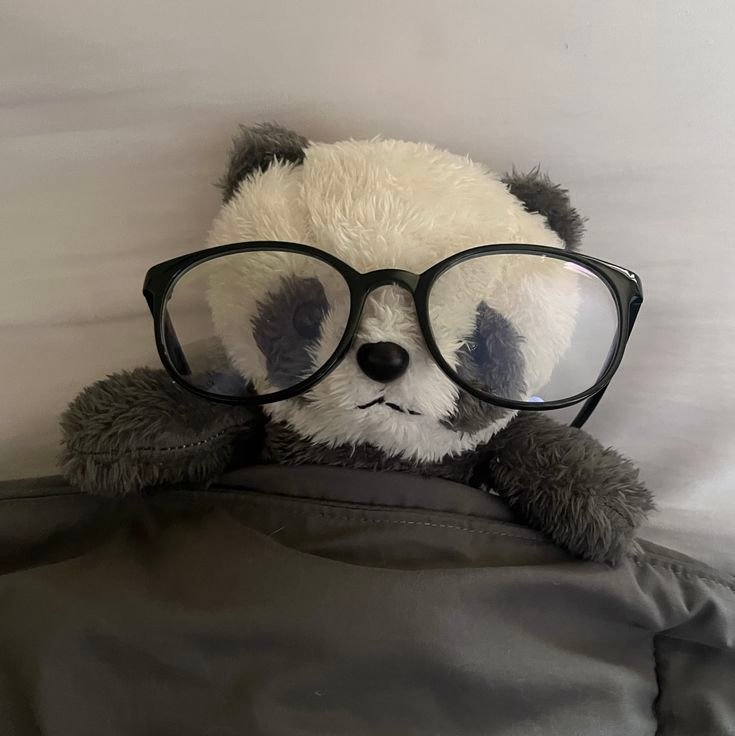 Panda With Glasses PFP