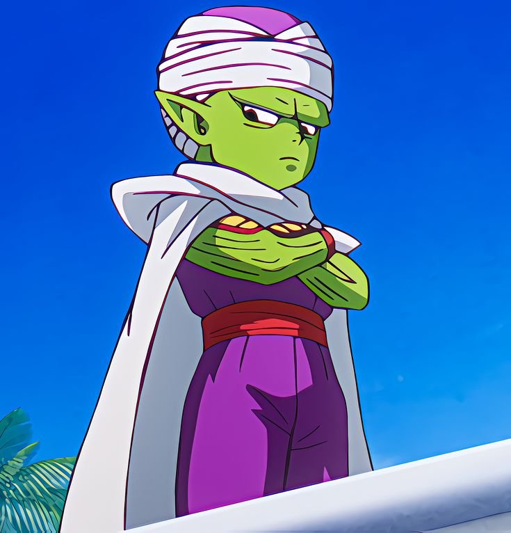 Piccolo Jr