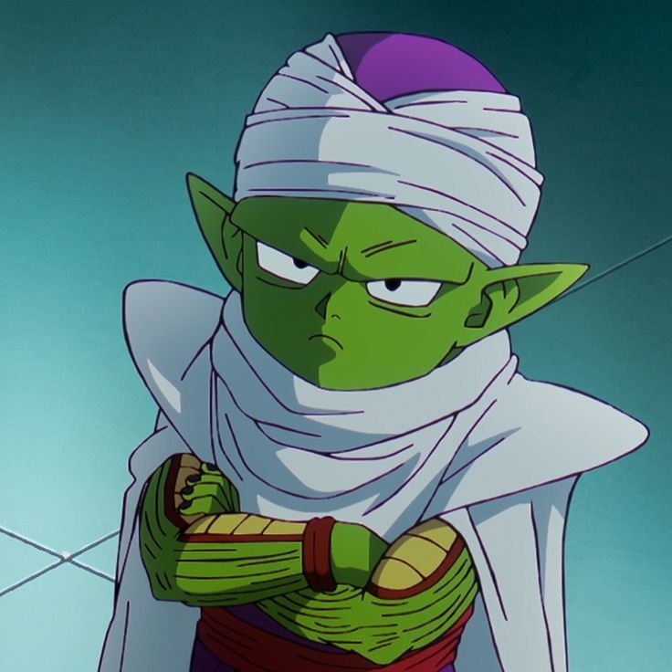 Piccolo Jr