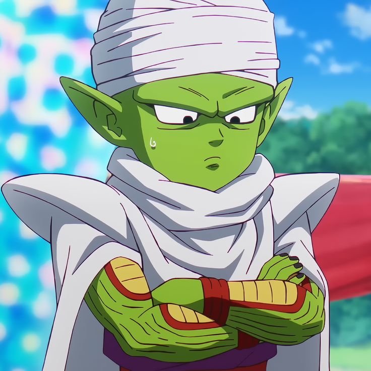 Piccolo Jr