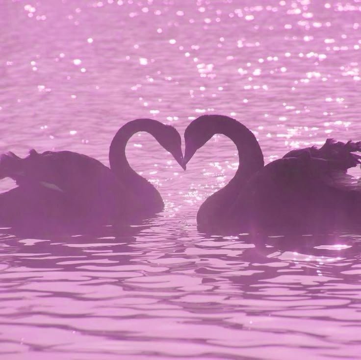 Pink Heart Aesthetic PFP Cozy Vibes