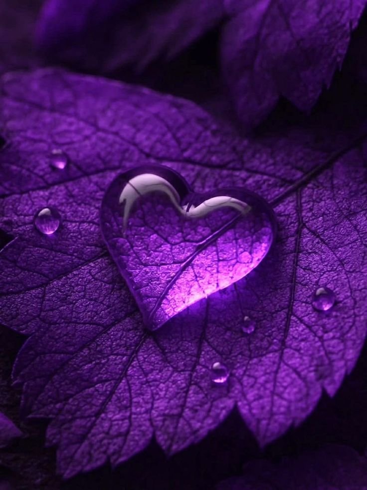 Purple Heart Aesthetic PFP